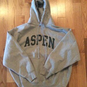 Brandy Melville Christy Hoodie Aspen Colorado Gray One Size